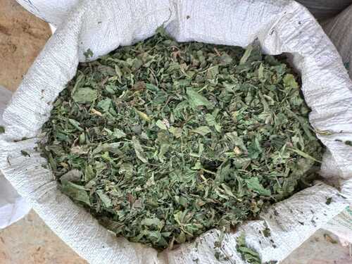 Dried Nettle Leaf With 1 Year Shelf Life, Pack Size 25 Kg Age Group: Suitable For All