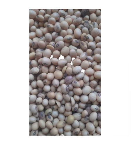 13% Moisture Round Organic Whole Dried Soya Beans 
