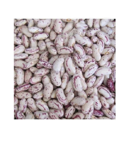 98% Pure And Natural Dried Kidney Beans With 6 Months Shelf Life
