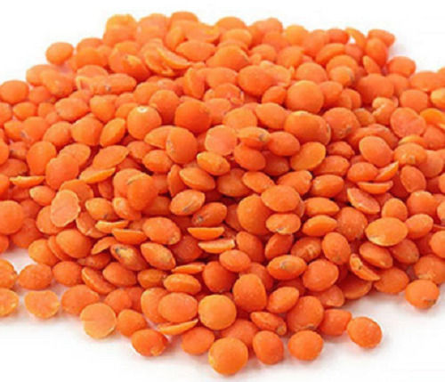 99% Pure Organic Whole Dried Round Masoor Dal Admixture (%): 0.9%