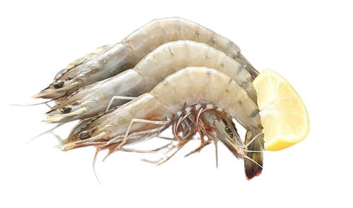 Natural Healthy And 100% Fresh Whole Frozen Fresh Prawn For Eating Packaging: Glass Bottle