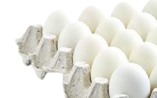 6G Medium Size Healthy And Tasty White Oval Shape Chicken Eggs Egg Weight: 6 Grams (G)