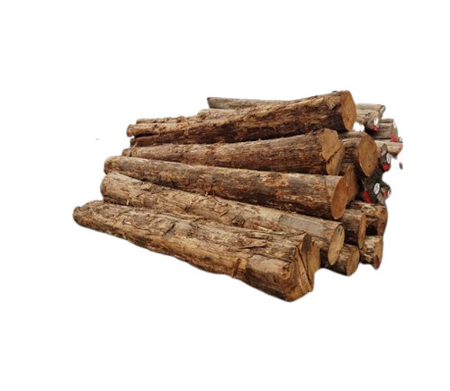 8 फीट लंबी फ्लॉलेस फ़िनिश और औद्योगिक घनत्व के लिए Wbp ग्लू मैंगो वुड: 50 ग्राम प्रति घन सेंटीमीटर (G/Cm3)