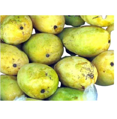 Commonly Cultivated Whole Sweet Mango