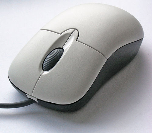 Computer Mouse