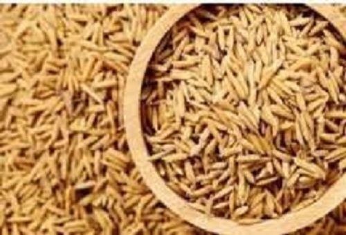 Dried 100% Purity Medium Grain Brown Paddy Rice
