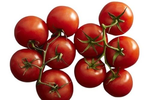 Farm Fresh Naturally Grown Juicy Red Tomatoes