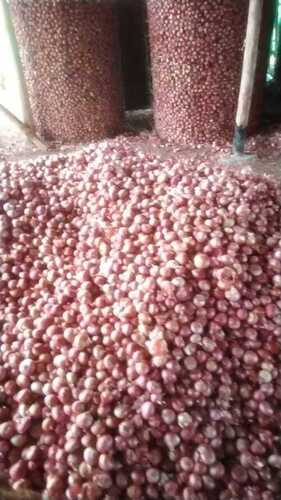 Medium Large Size A Grade Fresh Red Onions, 50 Kg Packaging
