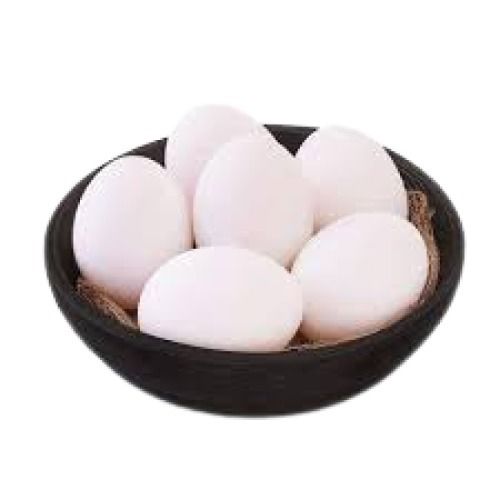 60 Gm Medium-Sized Oval-Shaped Poultry Eggs Egg Origin: Chicken