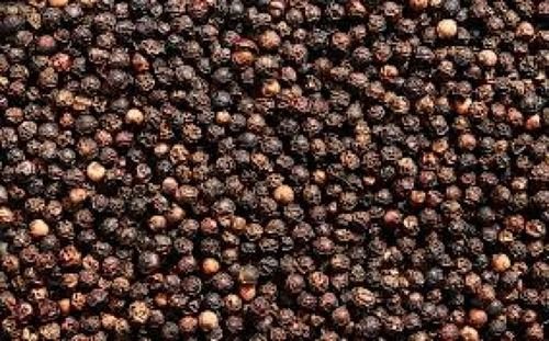 A Grade Dried Spicy Round Shape Raw Black Pepper 