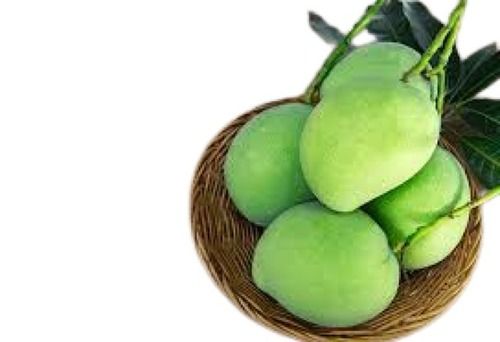 Indian Originated Oval Shape Sour Fresh Raw Green Mangoes