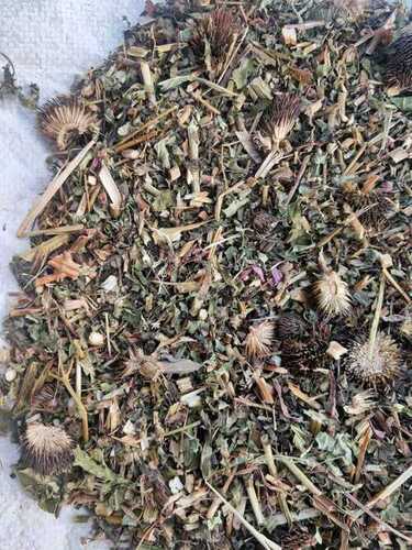 Semi-Automatic Medicine Grade Dried Echinacea Extract Herbs