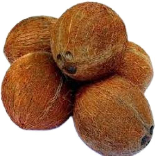 Brown Medium Size Nutrient Rich Matured Whole Fresh Coconut 