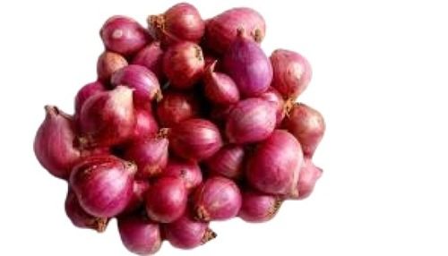 Naturally Grown Farm Fresh Oval Shape Red Onion