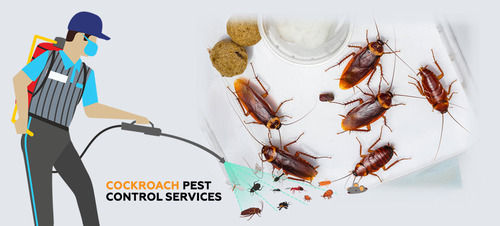 Cockroaches Pest Control Services