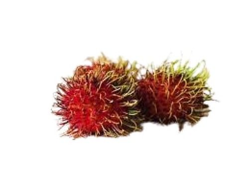 Common Farm Fresh Naturally Grown Round Shaped Sweet Taste Nutritious Red Rambutan