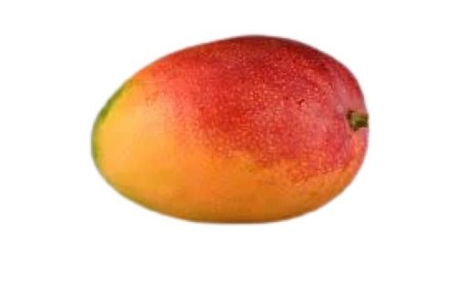 Naturally Grown Indian Origin Farm Fresh Sweet Mango