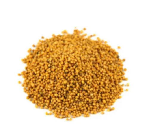 Organic Yellow Dried And Cleaned Mustard Seed With 9.5% Moisture