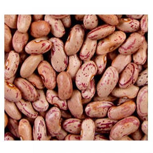 Rajma Kidney Beans for Cooking Food With 1 Year Shelf Life
