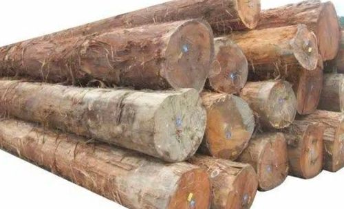 Round Teak Wood Timber With 7 - 12 Feet Length Usage: For Furniture