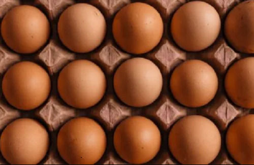 Fresh Brown Egg For Cooking Egg Origin: Chicken