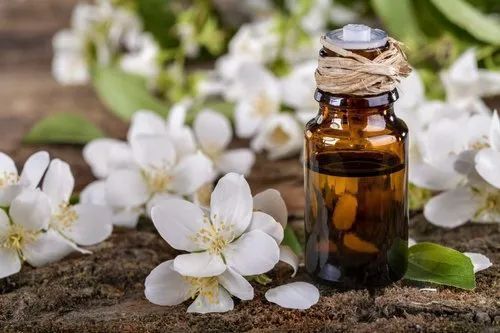 Jasmine Essential Oil For Pharma And Cosmetic Use