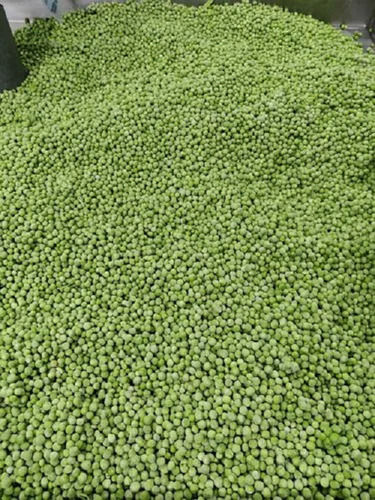 100% Fresh Ready To Cook Frozen Green Peas