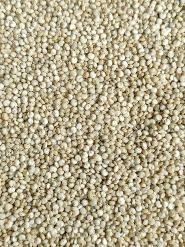 Machine Clean Double Sortex Whole Dried Quinoa Seed, No Dust And Stone