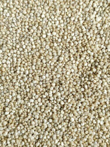 quinoa seeds