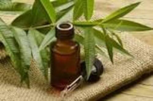 tea tree oil 