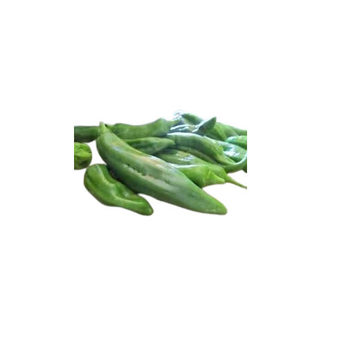 100% Fresh Ready To Cook Frozen Whole Green Chilli (IQF)