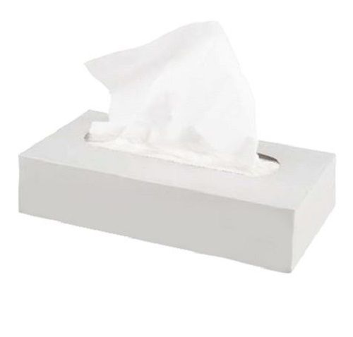 White 27 X 15 X 10 Cm Rectangular Plain Eco Friendly Tissue Paper Box