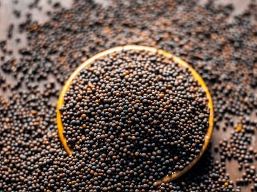 Black Mustard Seed