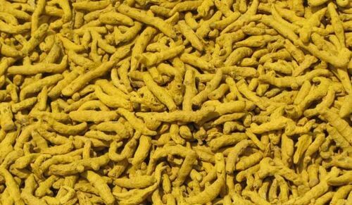 Yellow Earthy And Spicy Taste Raw Dried Turmeric Finger