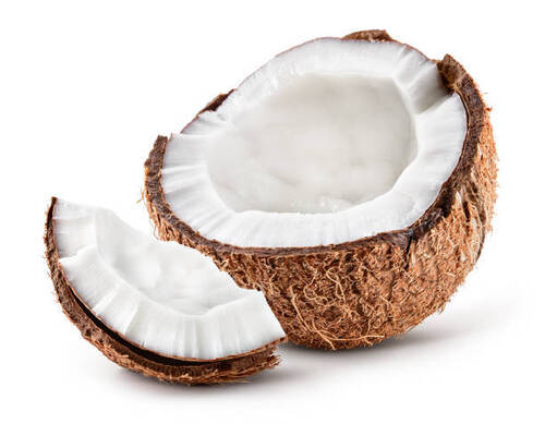 Fresh Natural Organic Hard Husked Coconut For Cooking Use