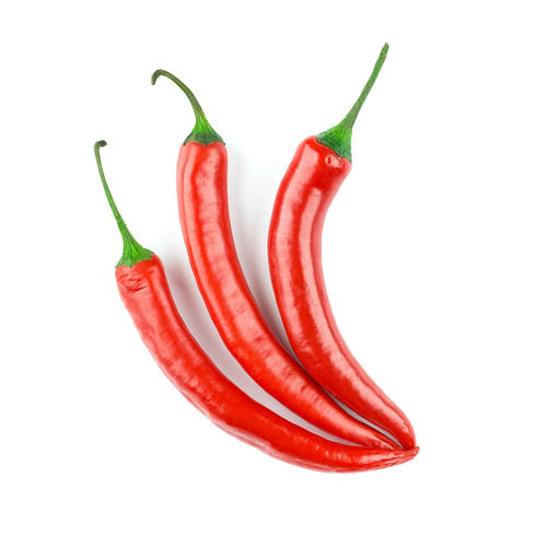 Pure Organic Long Shape Red Chili For Cooking Used