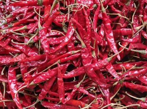 Raw And Dried Spicy Taste Pure Red Chilli Stick