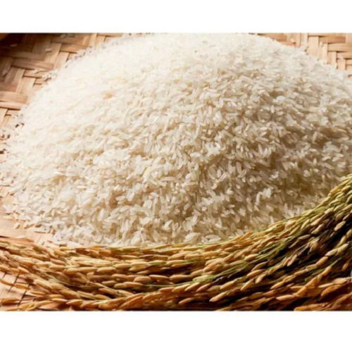 Commonly Cultivated Medium Grain Non Basmati Rice