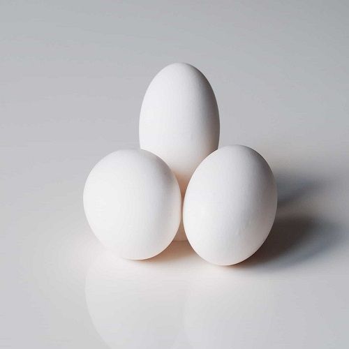 Egg