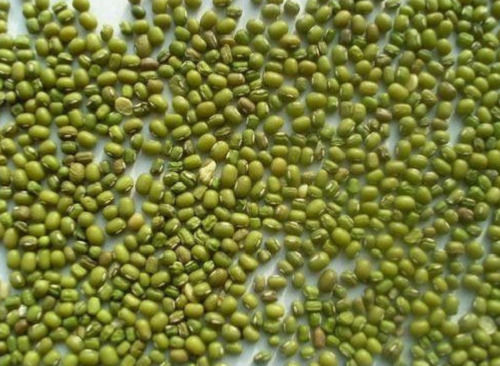 Organic 10 % Moisture Common Cultivated Whole Green Moong Dal