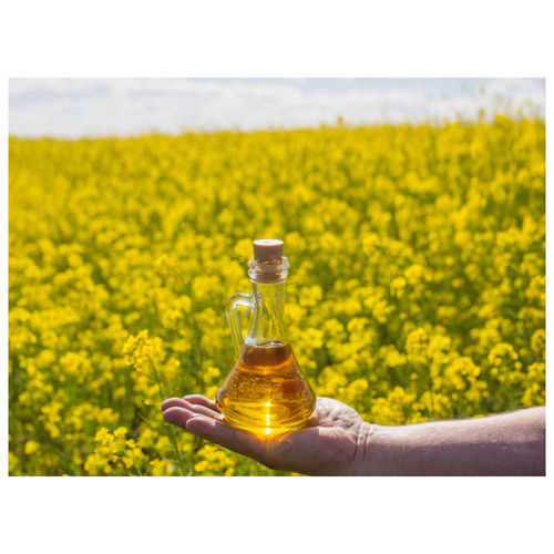 Mustard Oil