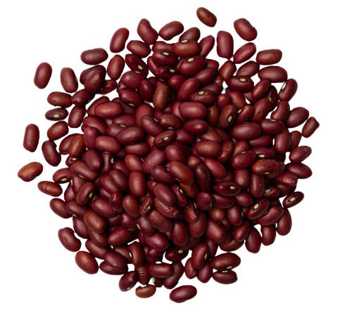 Pure And Dried Common Cultivated Small Kidney Beans 