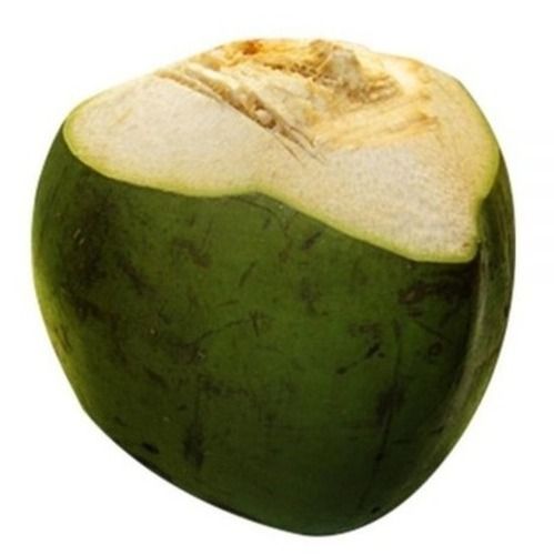 Common Commonly Cultivated Whole And Round Fresh Green Coconut