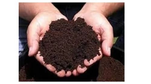 Eco Friendly Natural Vermicompost Fertilizer