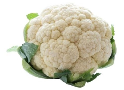 Whole And Raw Commonly Cultivated Round Fresh Cauliflower