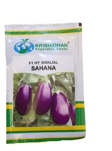 20 Gram Pure And Dried Common Cultivated Brinjal Seed With 4 Year Shelf Life  Admixture (%): 14