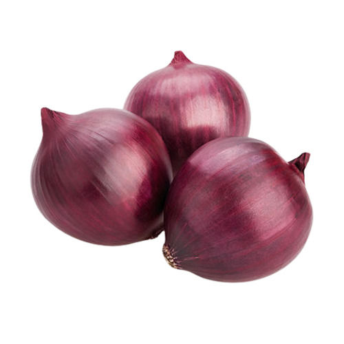 86% Moisture Fresh And Raw Round Medium Size Red Onion 