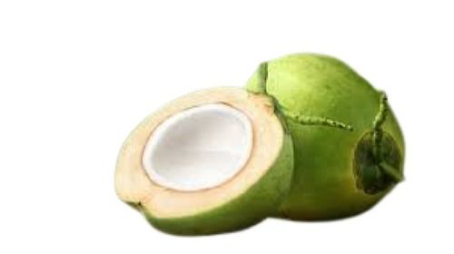 A Grade Whole Fresh Green Tender Coconut