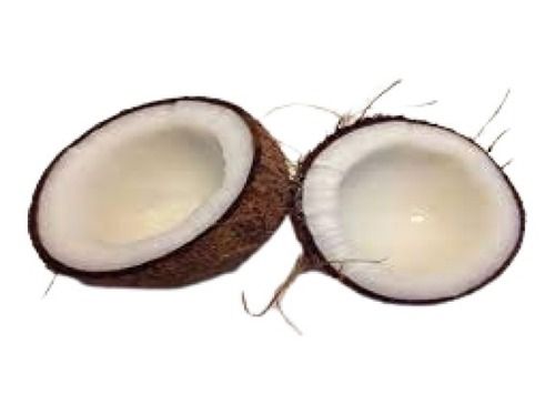 Common Cultivation Round Shape White And Brown Semi Husked Fresh Coconut