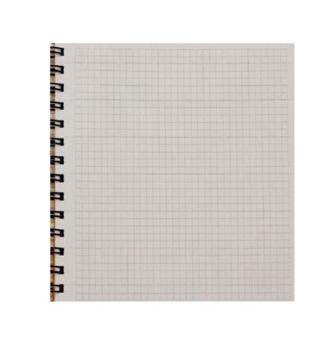 Paper 15X10 Inches Rectangular 2 Pin Binding And Soft Pagesgraph Notebook